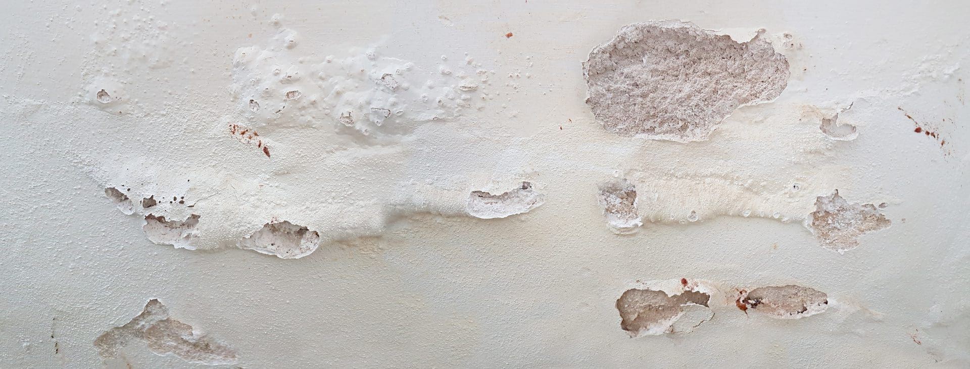 Putzabplatzung und Ausblühungen von Salzen - oder sind es Schimmelpilze? - Oft müssen Experten ran, um den Belag an der Oberfläche zu prüfen und ggf. inklusive Ursachen zu entfernen (© SusaZoom / stock.adobe.com)