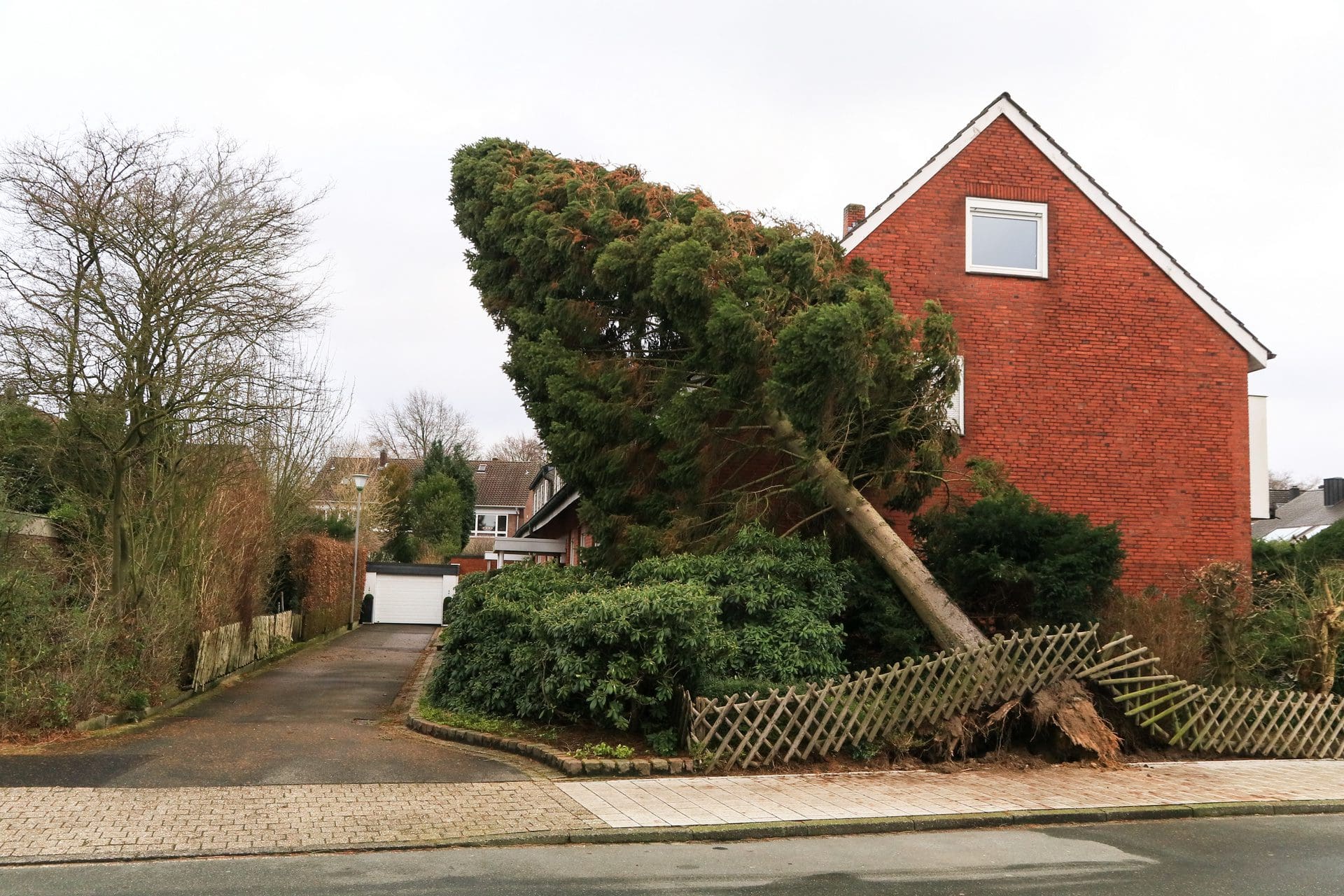 Baum auf Wohngebäude und Zaun gefallen nach Sturm - Wer kommt im Schadenfall für die Zerstörung auf? (© photofranz56 / stock.adobe.com)