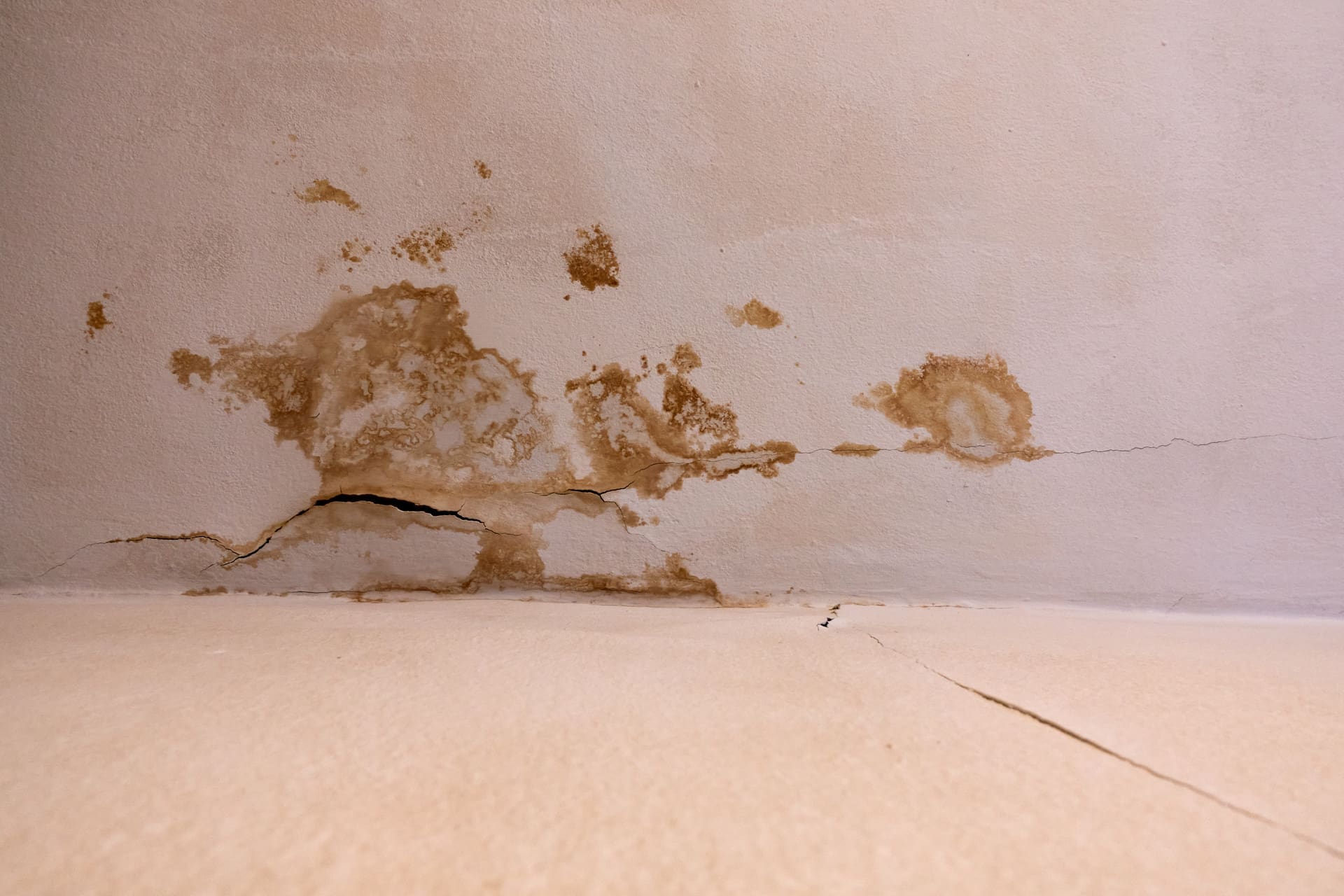 Dunkle Flecken an der Decke | Was ist die Ursache? Und wie lassen sich solche Flecken an Wänden und Decken entfernen? (© Jan / stock.adobe.com)