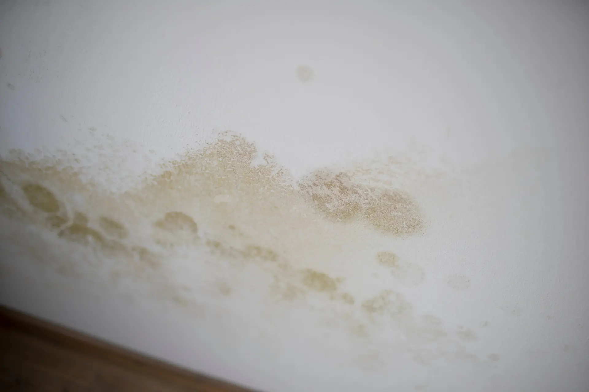 Dunkle Flecken an der Wand | Schimmel? Rohrbruch? Baumangel? (© epixproductions / stock.adobe.com) Dunkle Flecken an der Wand | Schimmel? Rohrbruch? Baumangel? (© epixproductions / stock.adobe.com)