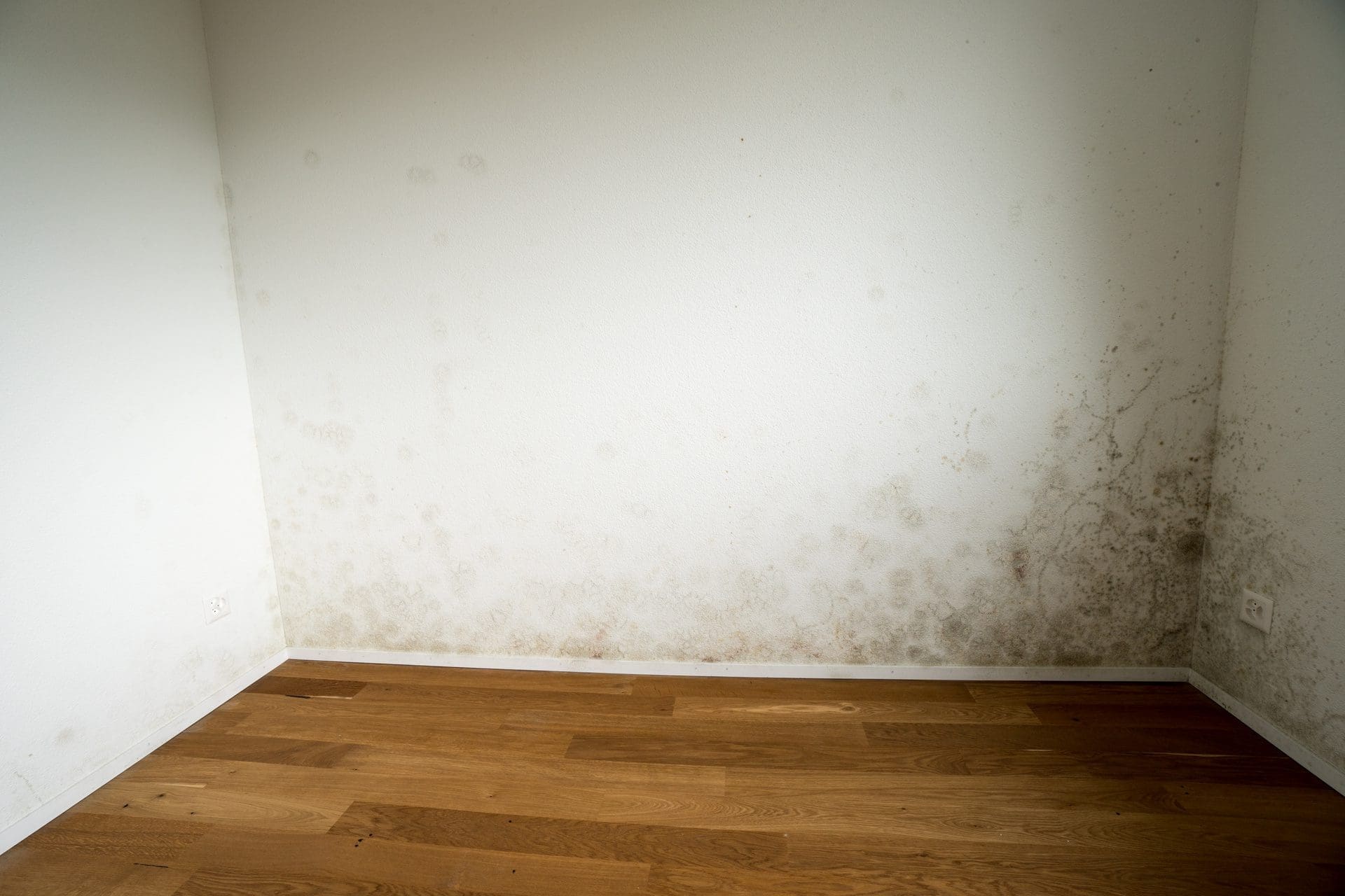 Feuchte Wand trocknen - Heizstrahler? (© makasana photo / stock.adobe.com)