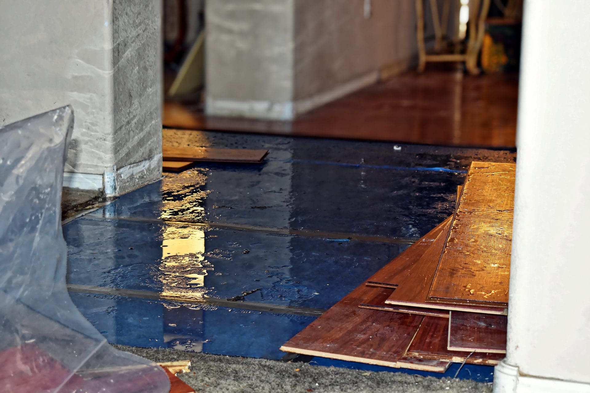 Haus trockenlegen | Bei größeren Wasserschäden brauchen Sie eine Expertenfirma für die Haustrockenlegung (© Leonard / stock.adobe.com)