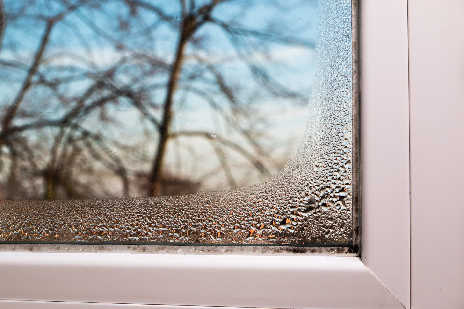 Kondenswasser am Fenster - Vorstufe einer Schimmelbildung? (© GChristo / stock.adobe.com)