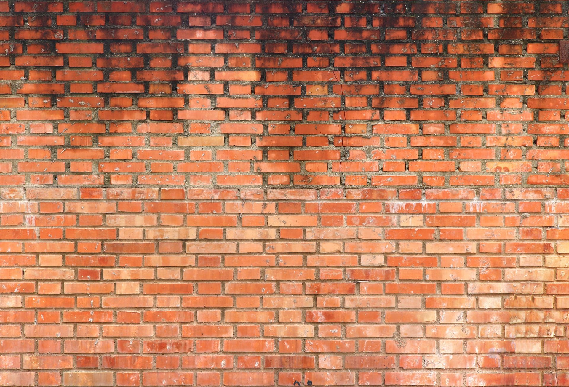 Durchfeuchtetes Mauerwerk: Die Kosten einer Mauertrockenlegung hängen vom Verfahren und den allgemeinen Preisen der jeweiligen Trocknungsfirma ab (© Domingo / stock.adobe.com)