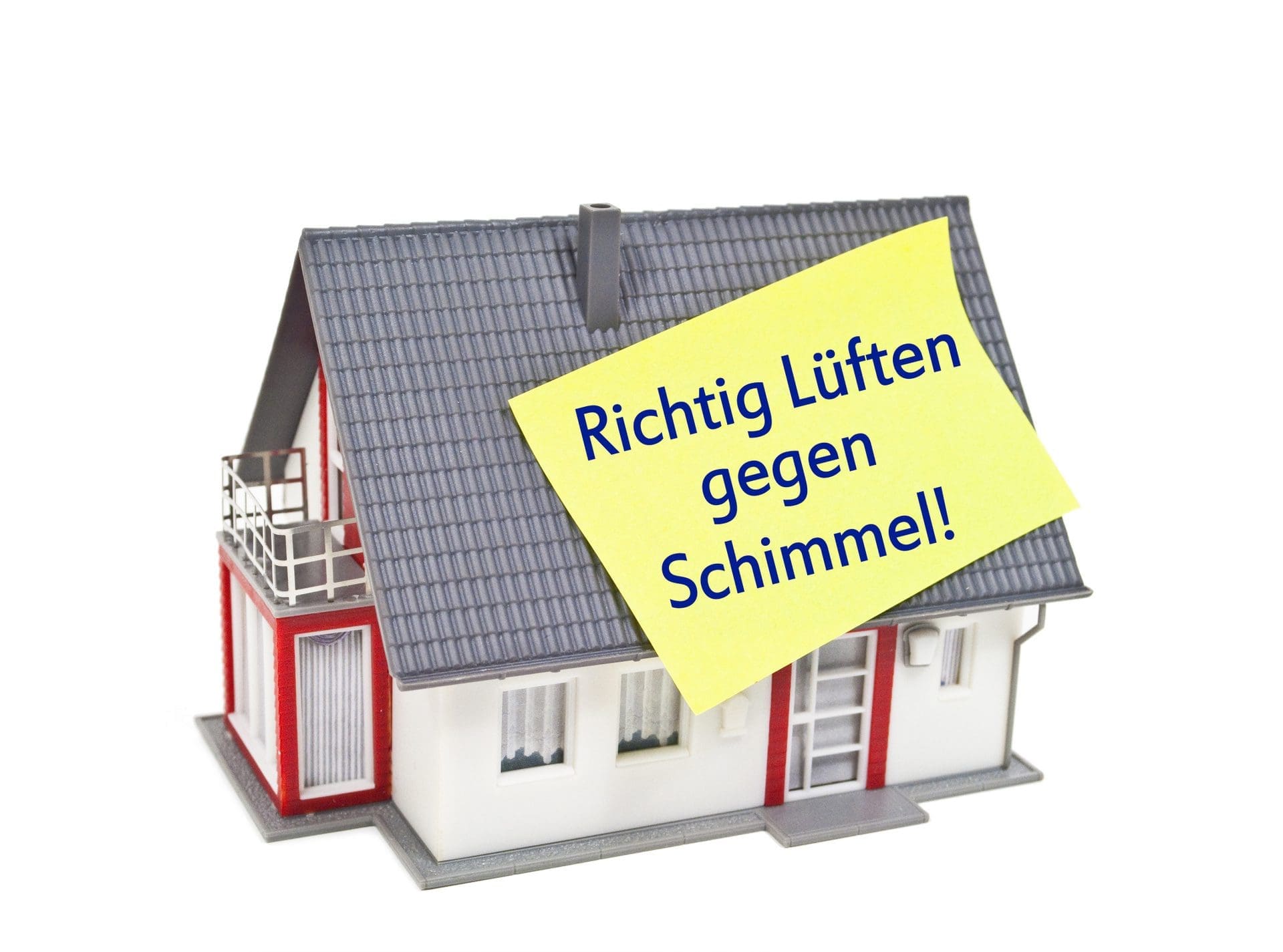 Schimmelsporen in der Luft