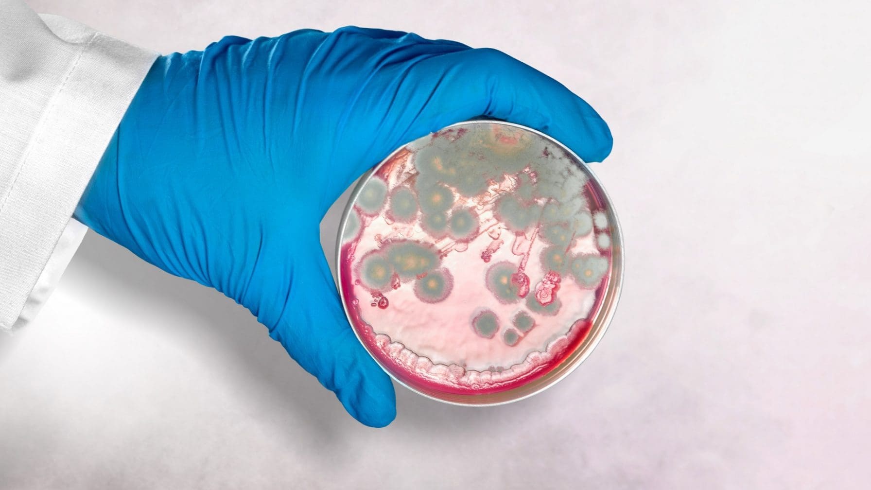 Beratung vereinbaren