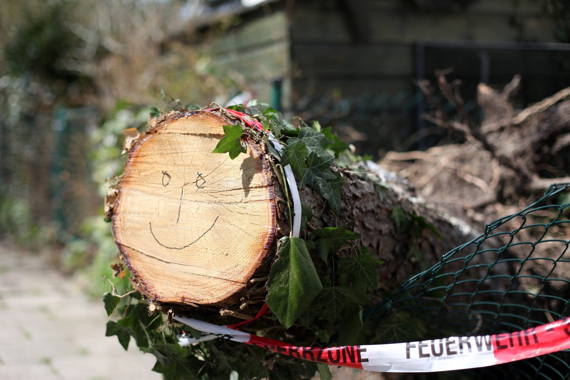 Fällt ein Baum auf ein Haus, Carport oder Zaun, dann vergeht so manchem Baumbesitzer das Lachen - häufig gibt es Probleme mit der Regulierung der Schäden, und es kommt zu Streitigkeiten mit Versicherungen und Nachbarn über Wurzeln, Verkehrssicherungspflichten und Ansprüche (© Peter Atkins / stock.adobe.com)