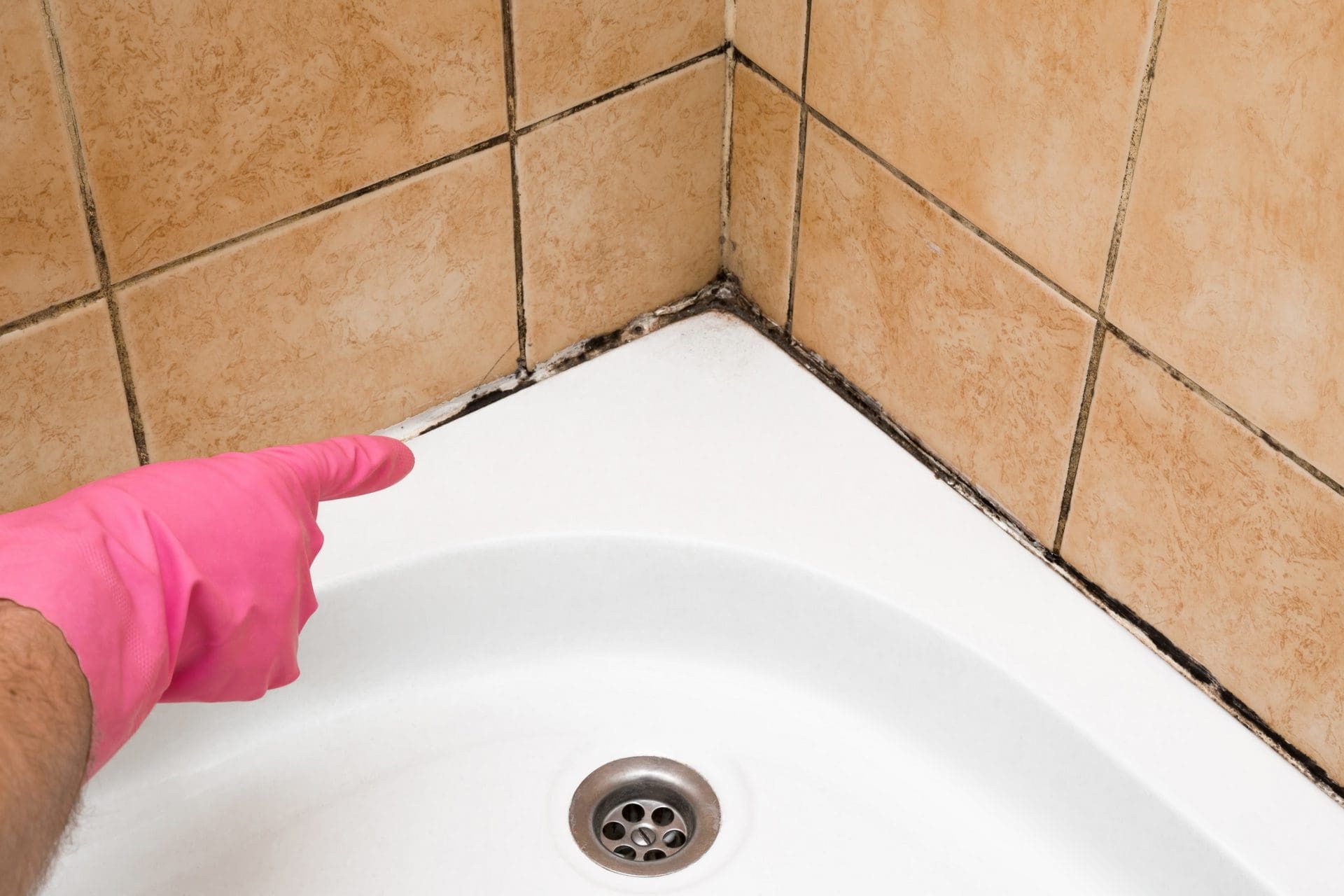 Schwarzer Schimmel im Badezimmer in der Dusche, an den Fugen zwischen den Fliesen und der Duschwanne | Wie am besten entfernen? (© fotoduets / stock.adobe.com)