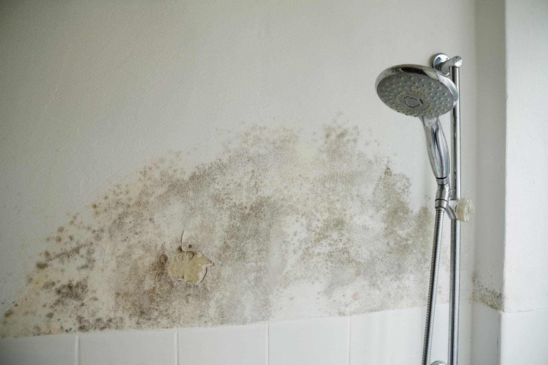 Schimmel im Badezimmer - wie entfernen? (© Wellnhofer Designs / stock.adobe.com)