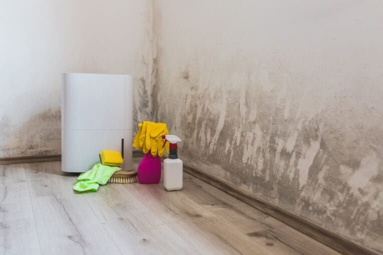 Wie gefährlich ist Schimmel im Schlafzimmer? Was tun?