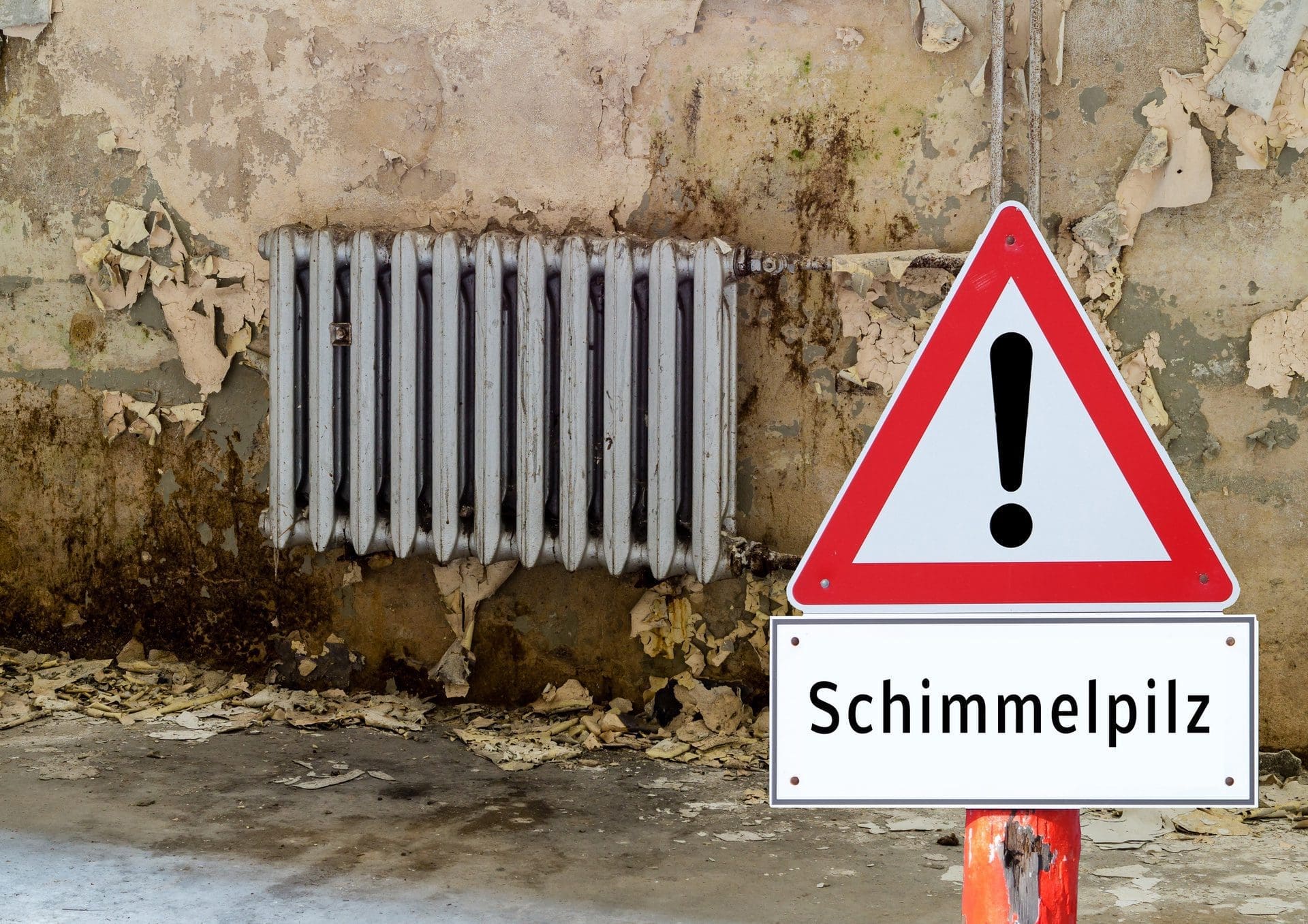 Schimmelsanierung - Die Kosten pro qm für eine professionelle Schimmelpilzsanierung können beträchtlich sein. Gute Firmen sind rar. (© Animaflora PicsStock / stock.adobe.com)