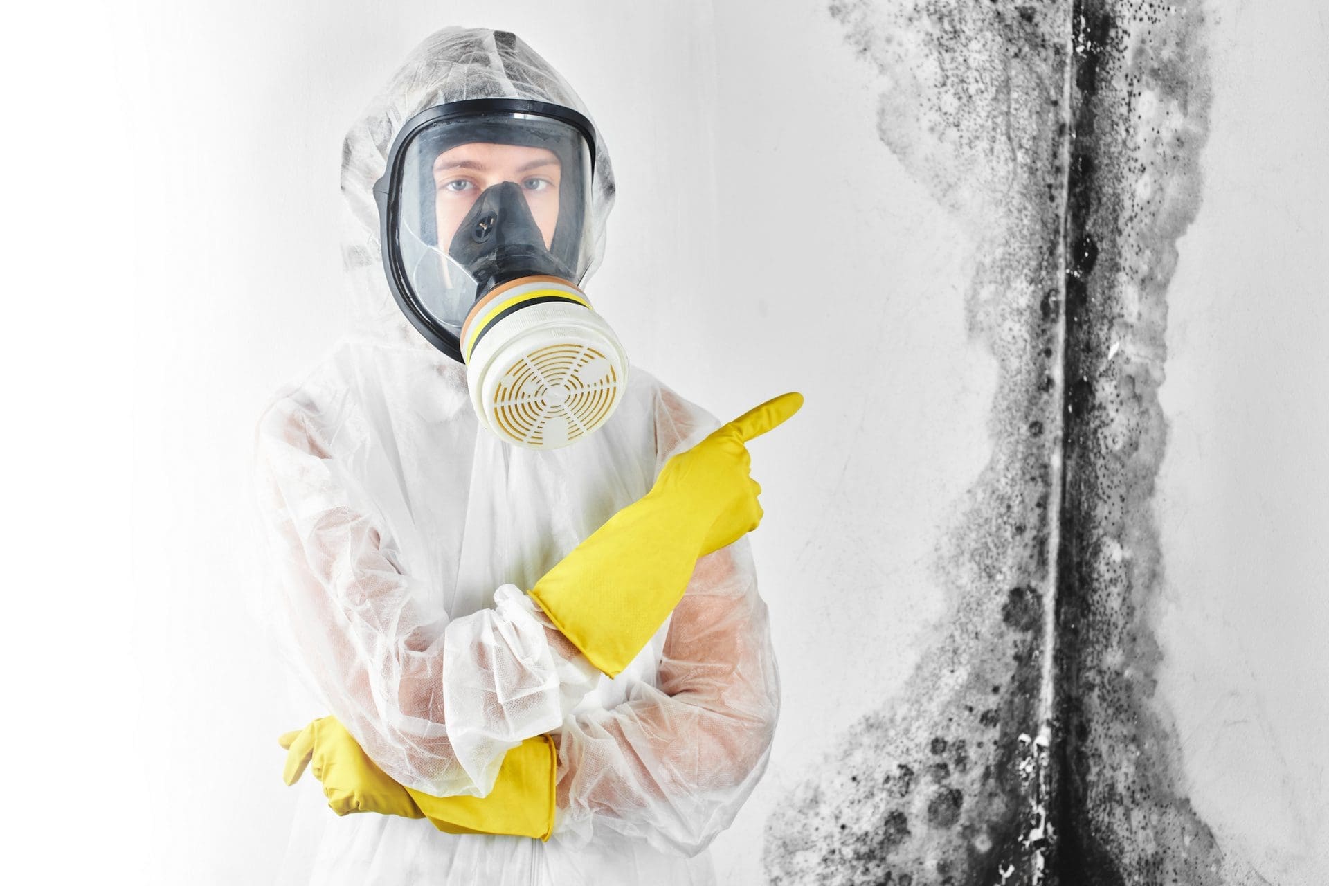 Schimmelexperte in meiner Nähe | Was kosten Schimmelexperten? (© amixstudio / stock.adobe.com) Schimmelexperte in meiner Nähe | Was kosten Schimmelexperten? (© amixstudio / stock.adobe.com)