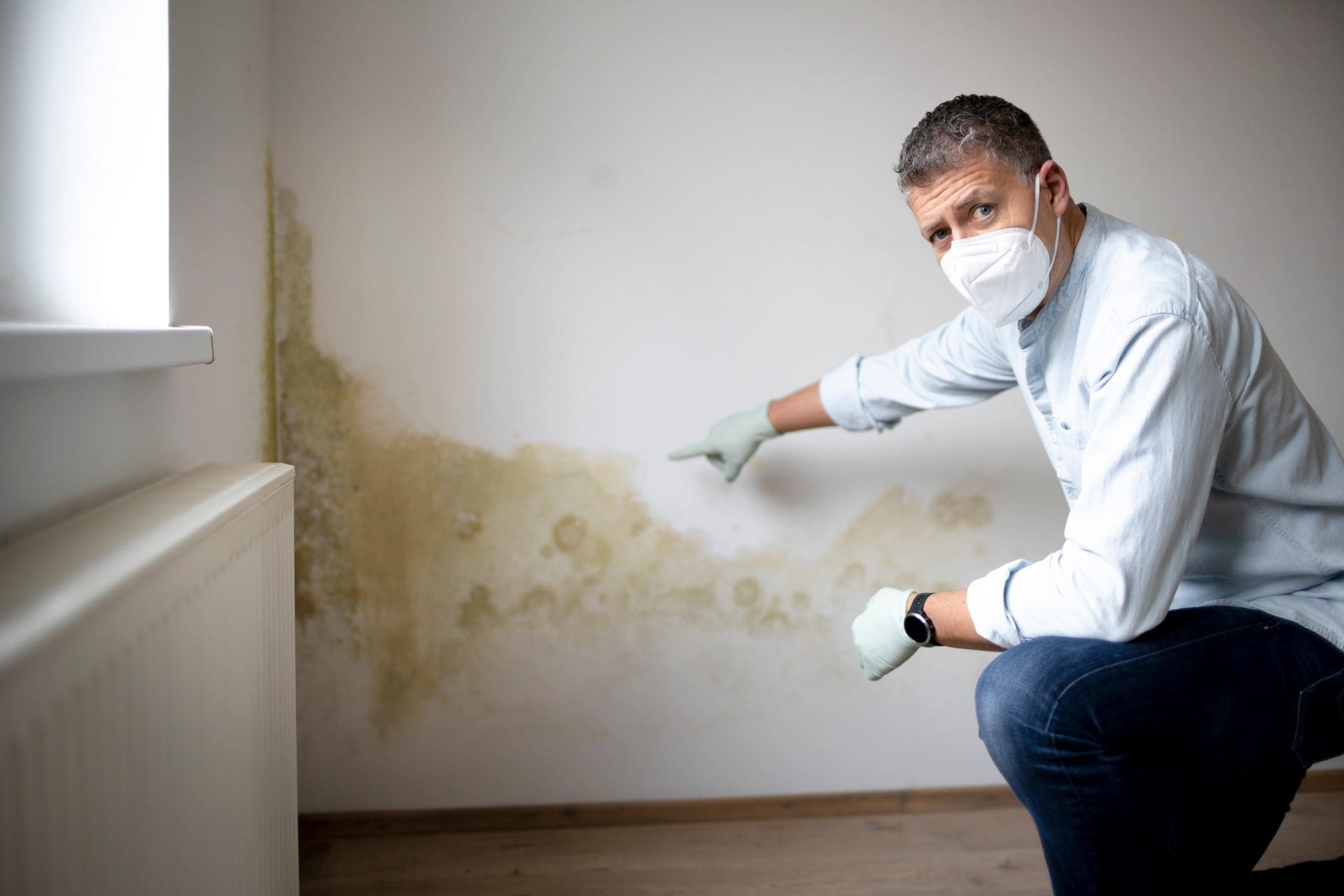 Schimmelwand sanieren | Bevölkert Schimmel die Wände, braucht es ab einem gewissen Ausmaß Experten zur Beseitigung der Sporen und Ursache (© epixproductions / stock.adobe.com)