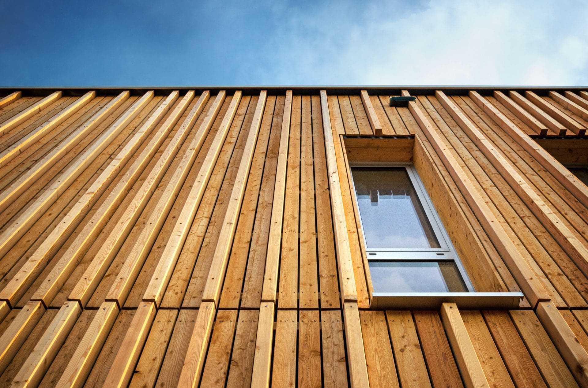 Schwindrisse im Holz | Zu einem gewissen Grad sind Schwindrisse in Holz normal; größere Risse in Bauholz sollten bei korrekter industrieller Vortrocknung aber nicht vorkommen. (© Petair / stock.adobe.com)