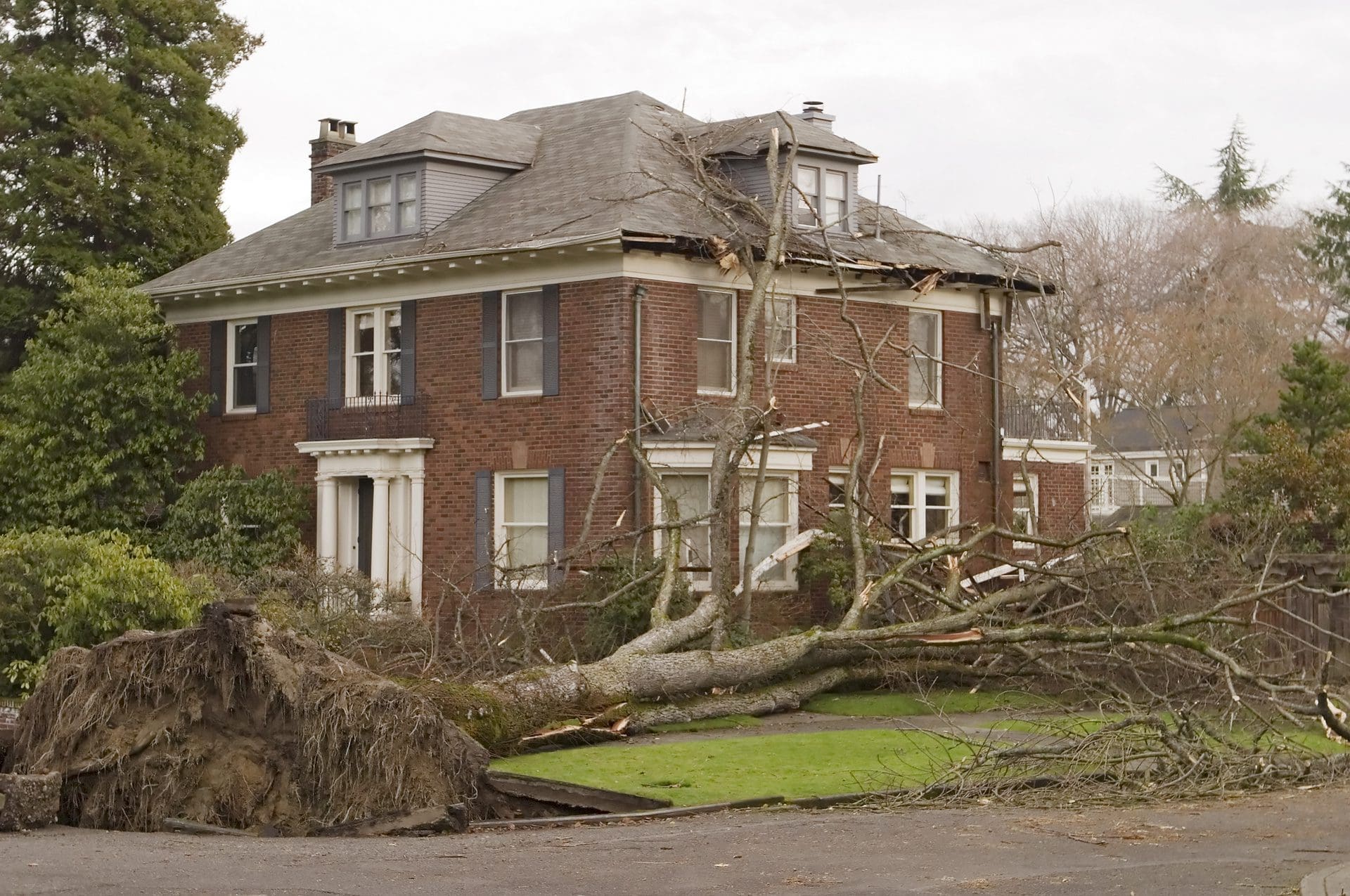 Baumwurzeln | Sturmschaden? - Ein Baum ist entwurzelt und auf ein Grundstück gefallen. Ein Versicherungsfall? (© searagen / stock.adobe.com)