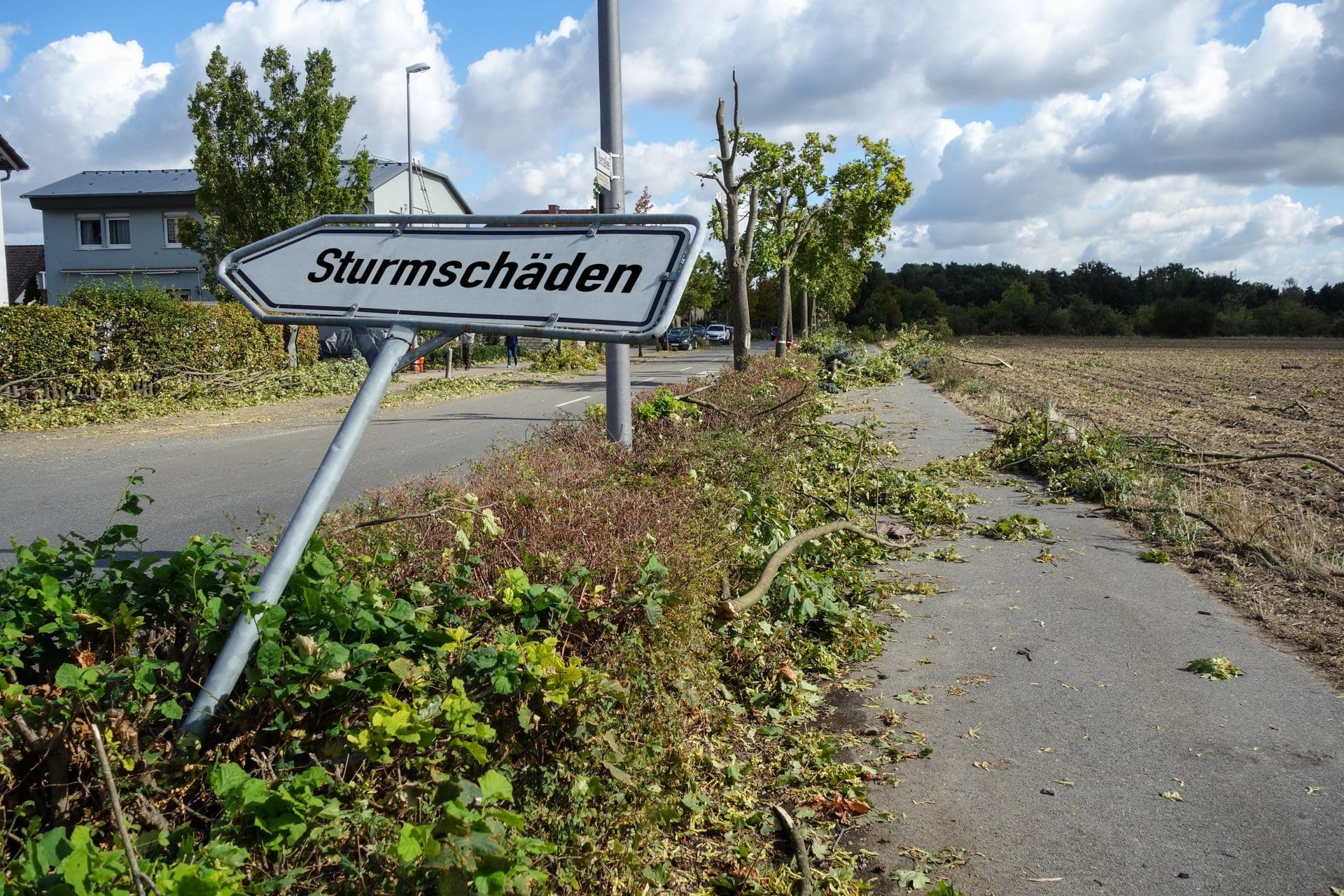 Sturmschäden: Wer zahlt was? (© stockphoto-graf / stock.adobe.com)