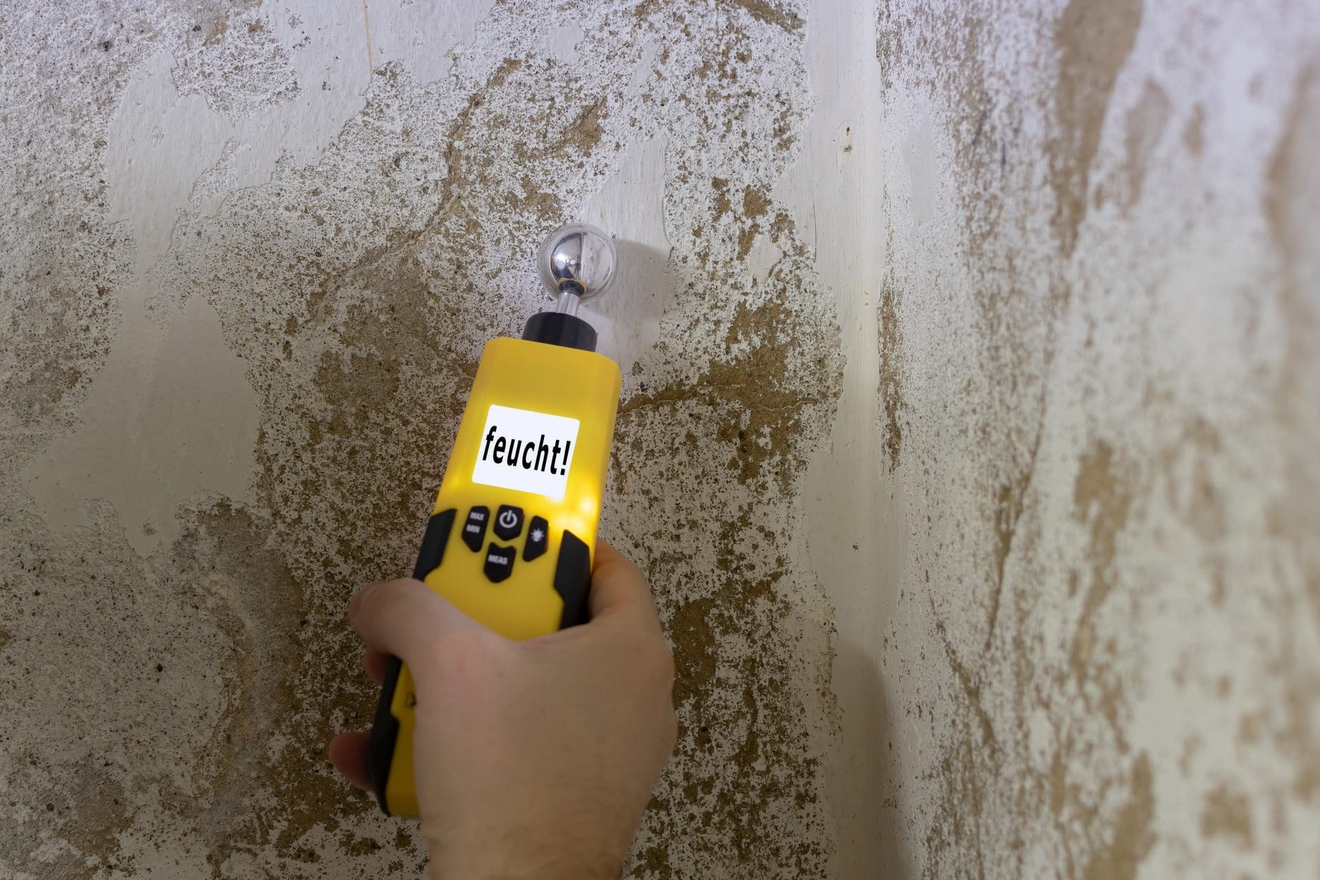 Wand feucht! - Feuchtigkeitsmesser (© Fokussiert / stock.adobe.com) Wand feucht! - Feuchtigkeitsmesser (© Fokussiert / stock.adobe.com)