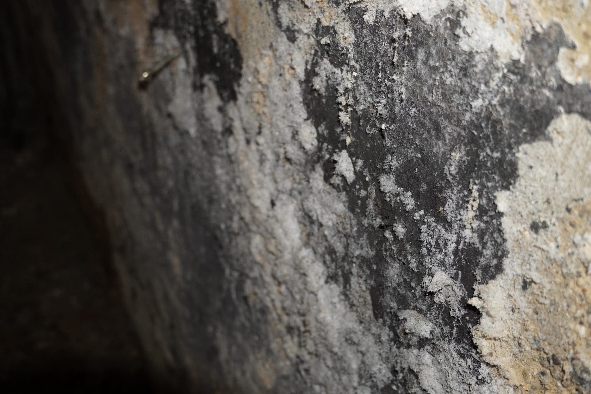 Wand mit Salpeter / Salz-Ausblühungen | Wie lassen sich Salpeterausblühungen beseitigen? (© TSW / stock.adobe.com)