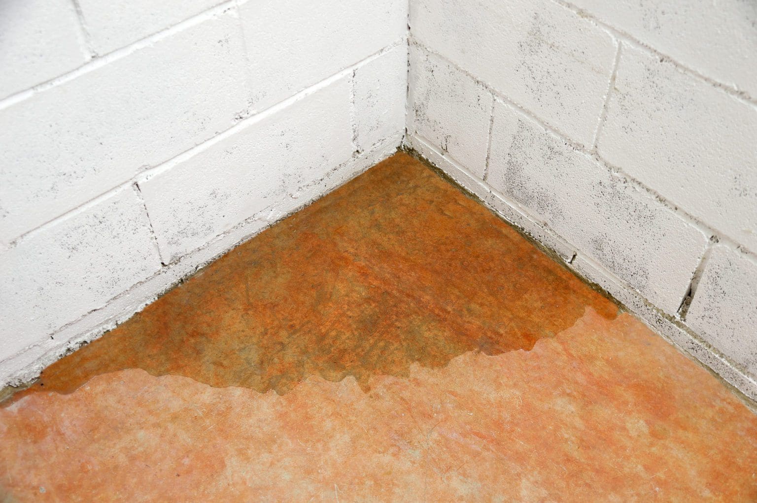 Wasser drückt durch Wand und Boden im Keller (© cunaplus / stock.adobe.com)