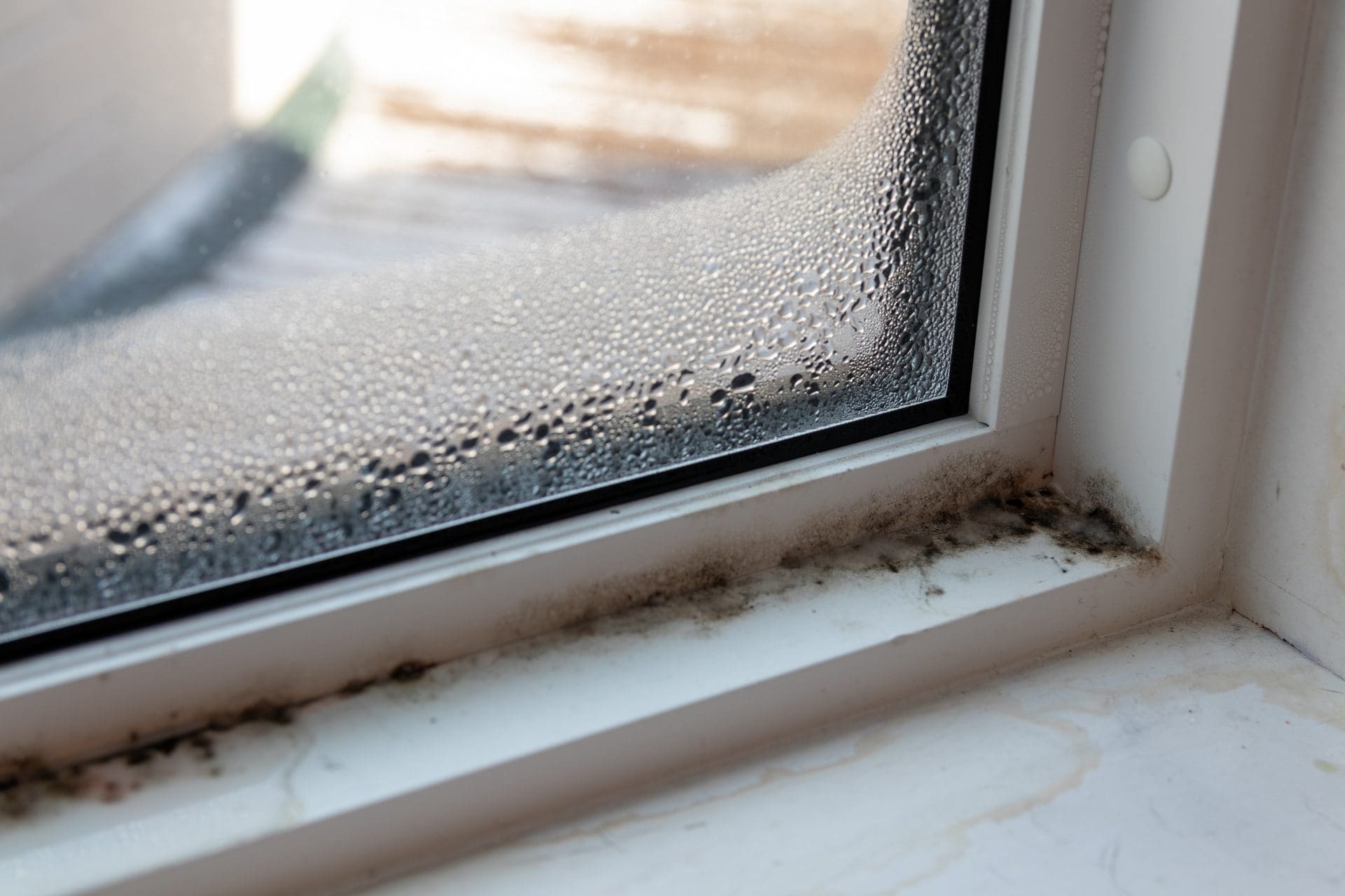 Schlägt sich ständig kondensierendes Wasser an den Fenstern nieder, ist es bis zur Schimmelbildung und Feuchtigkeitsschäden im Mauerwerk und der Bausubstanz nicht mehr weit (© IHX / stock.adobe.com)