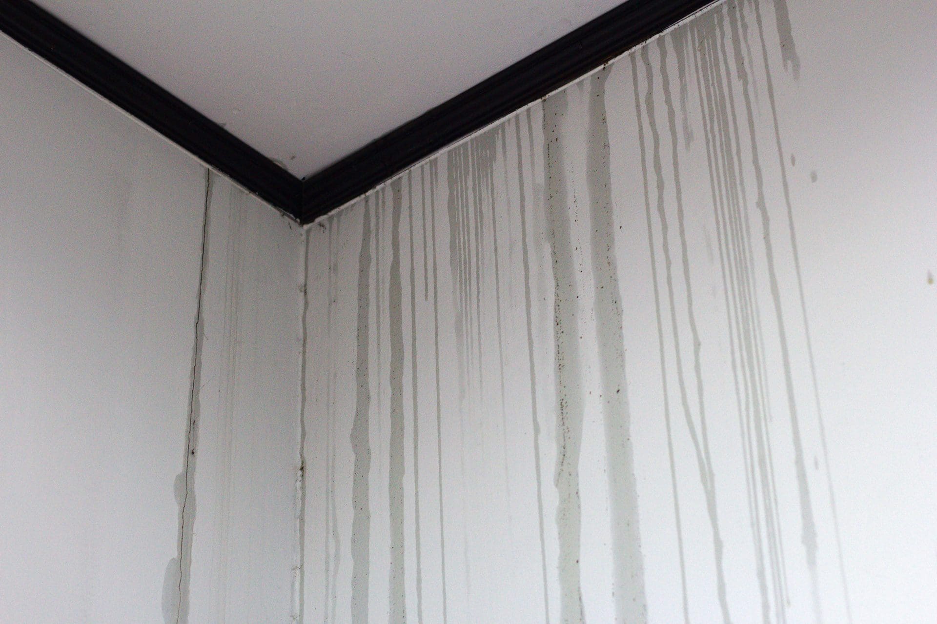 Wasser tropft aus Decke und läuft die Wände hinunter (© chaiyoot / stock.adobe.com)