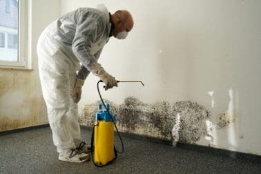 Wasserschaden an Wand mit massiver Schimmelbildung - ist die Decke darunter auch betroffen? (© Heiko Küverling / stock.adobe.com)