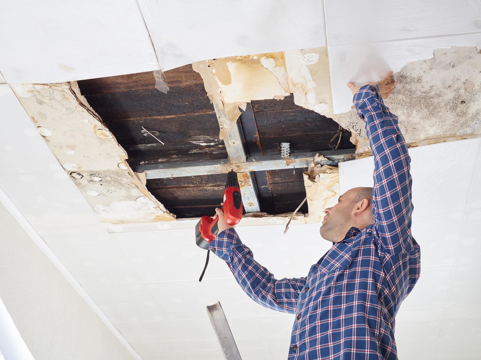 Die Wasserschadenbeseitigung umfasst je nach Fall und Ursache viele verschiedene Maßnahmen: Wände, Böden und Decken müssen unter Einsatz von Bautrocknern ausreichend trocknen, um Folgeschäden wie Schimmel in der Wohnung zu vermeiden. Defekte Teile müssen getauscht werden, sofern keine Reparatur möglich oder wirtschaftlich ist. Und letztlich muss alles mit der Versicherung abgeklärt und abgerechnet werden. (© volkovslava / stock.adobe.com)