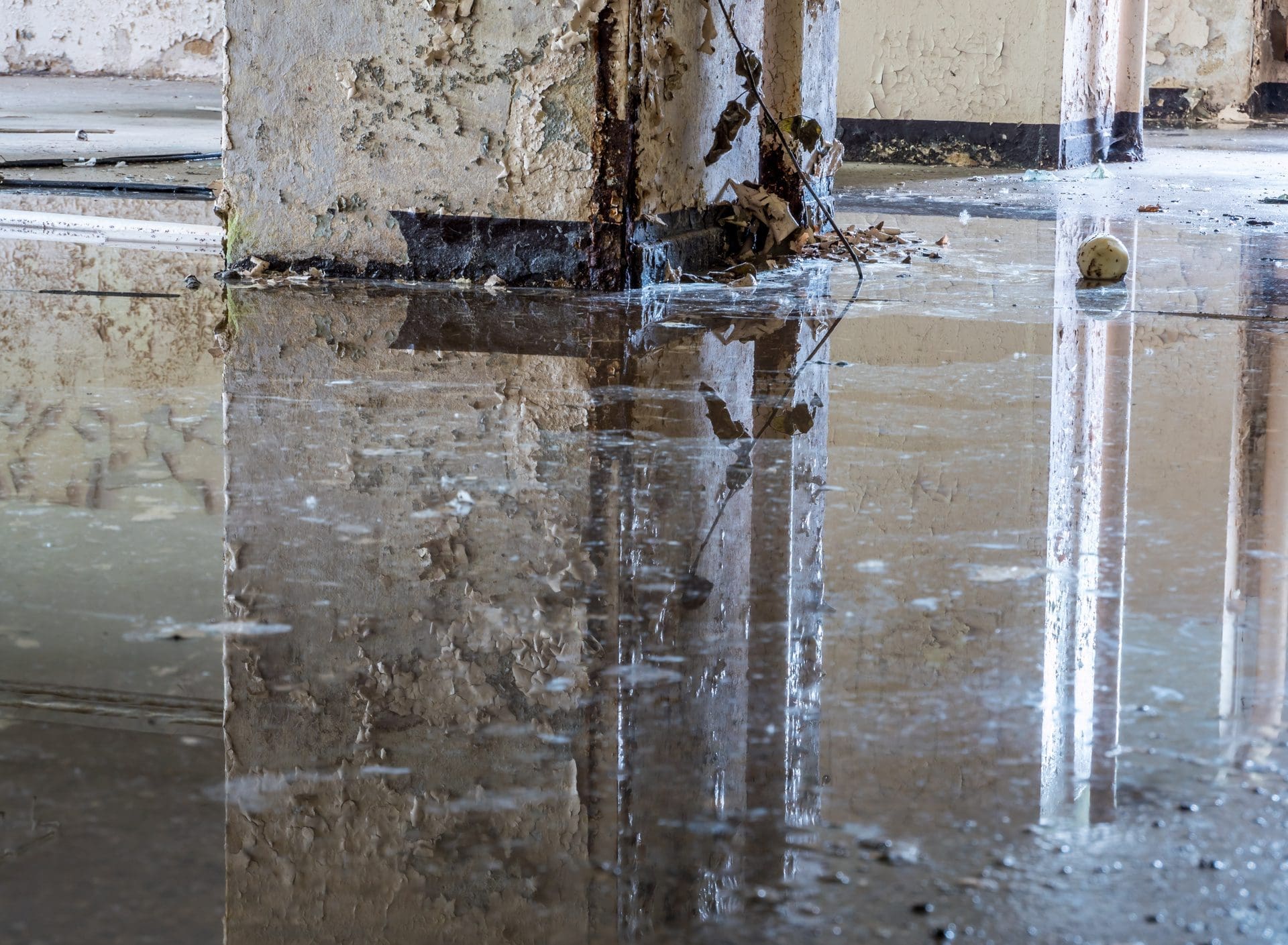 Wasserschaden Keller - Wer zahlt die Kosten für die Beseitigung / Sanierung von Wasserschäden im Keller? (© Animaflora PicsStock / stock.adobe.com)