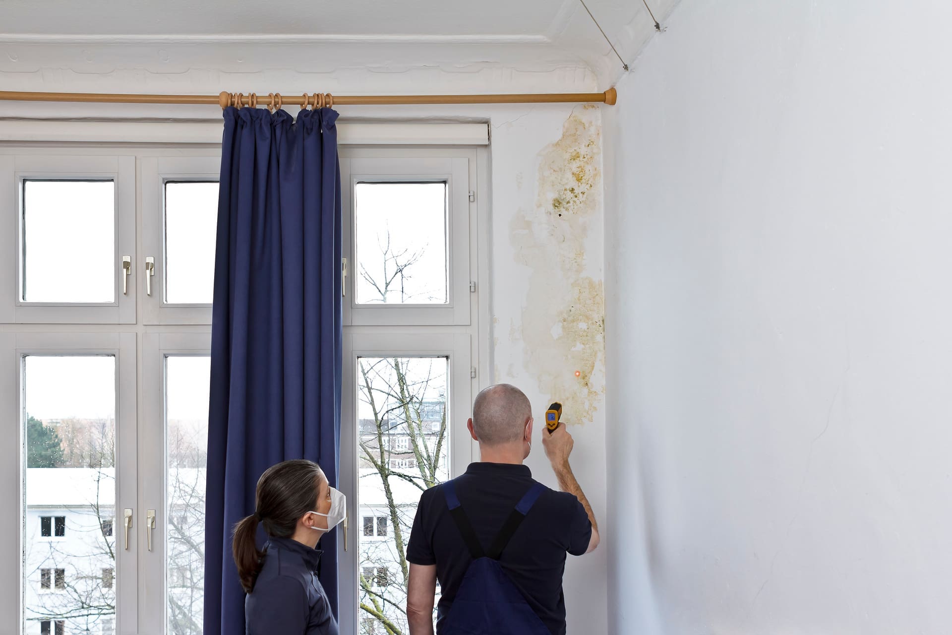 Schimmel an der Decke: Wie können wir den Schädling verhindern